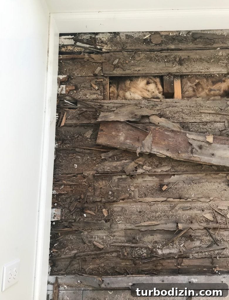 How to Refinish Oak and Pine Wood Floors for Lasting Results 8 img 89049 7
