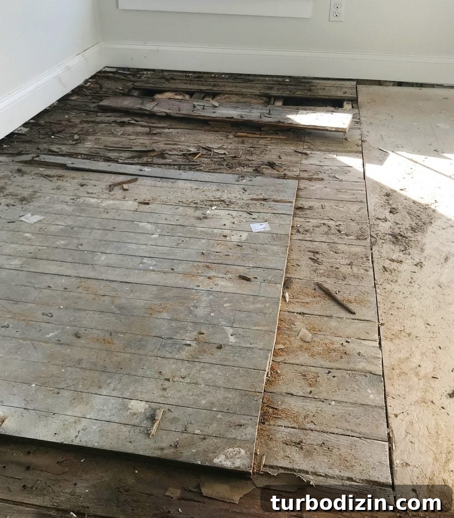 How to Refinish Oak and Pine Wood Floors for Lasting Results 9 img 89049 8
