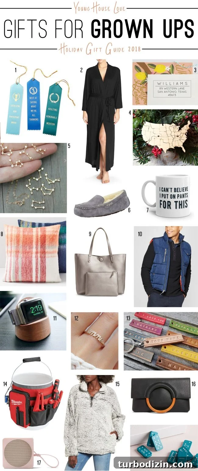 2018 Holiday Gift Guide: Top Picks for Every Budget 2 img 89084 1