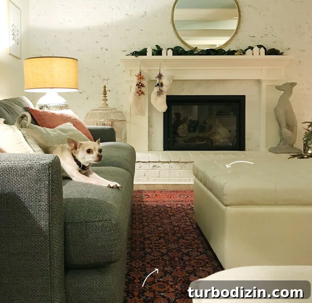Can Science Make Our Homes Happier? Practical Insights for Living Better 6 img 90238 5