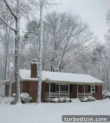 8-inches-of-snow-snowstorm-richmond-virginia 8-inches-of-snow-snowstorm-richmond-virginia