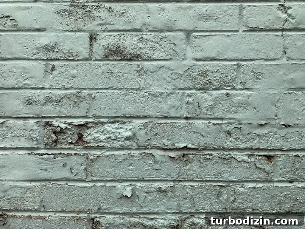 What to Know Before Painting Your Brick House 7 img 91030 10