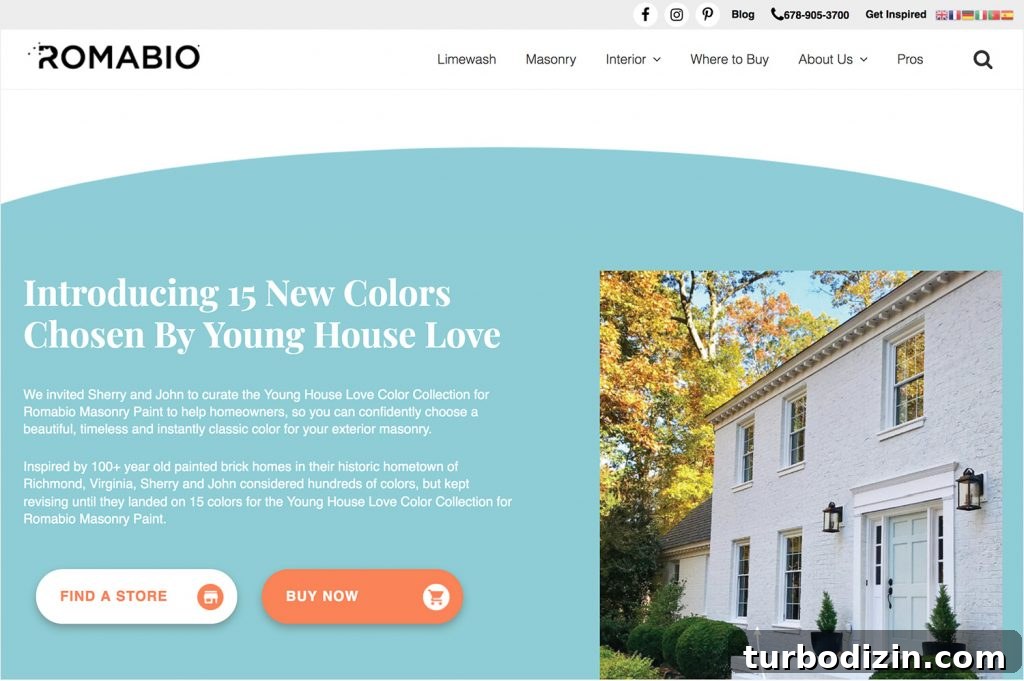 What to Know Before Painting Your Brick House 9 img 91030 14