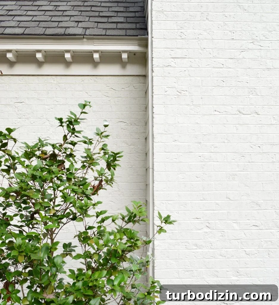 What to Know Before Painting Your Brick House 4 img 91030 5