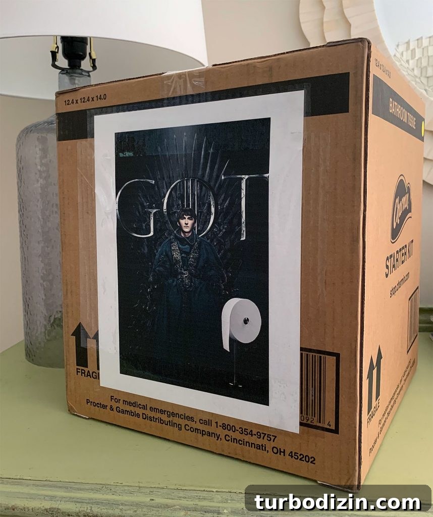 First Guests at Our Duplex: What Happened During Their Stay 5 toilet paper box with Iron Throne design