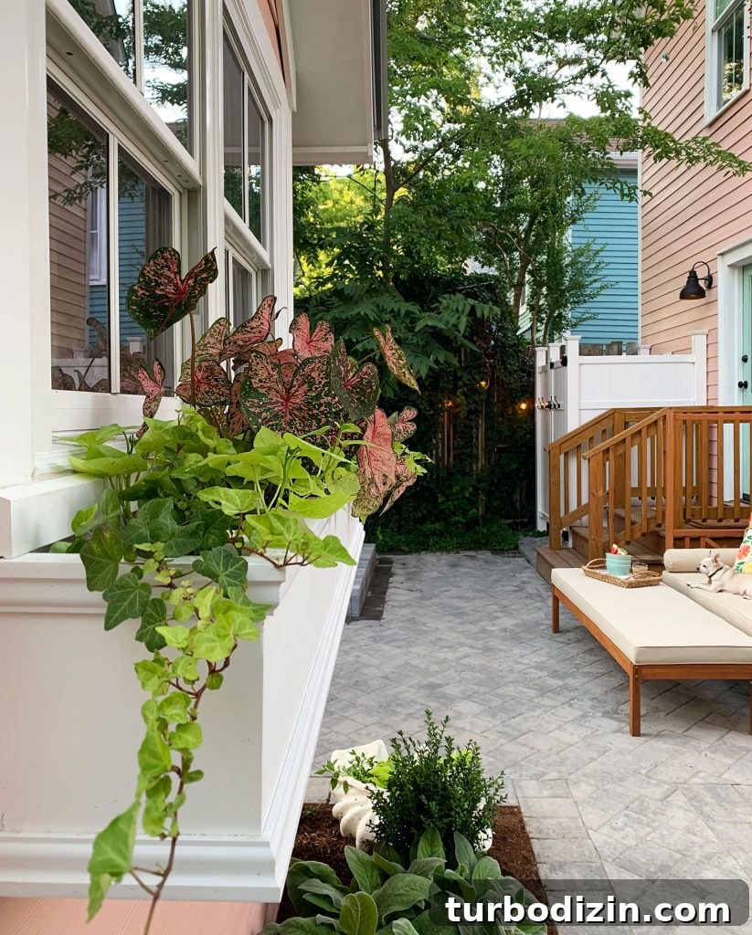 Coastal Backyard Makeover for Our Beach House: Before & After 21 img 91723 27