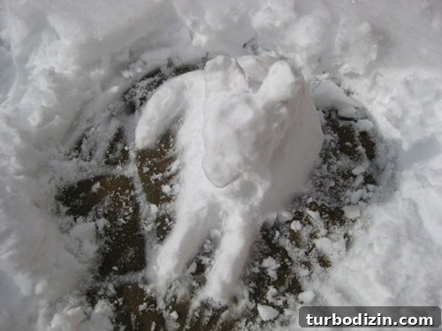 snow-dog-chihuahua-sculpture-snowman snow-dog-chihuahua-sculpture-snowman