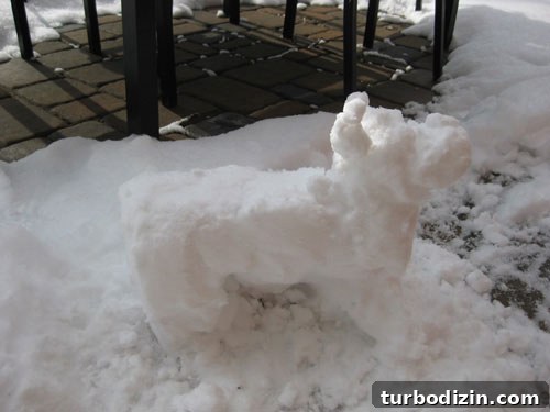 snow-dog-chiahuahua-snowman snow-dog-chiahuahua-snowman