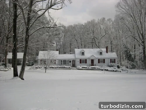 bed-and-breakfast-favorite-house-snow bed-and-breakfast-favorite-house-snow