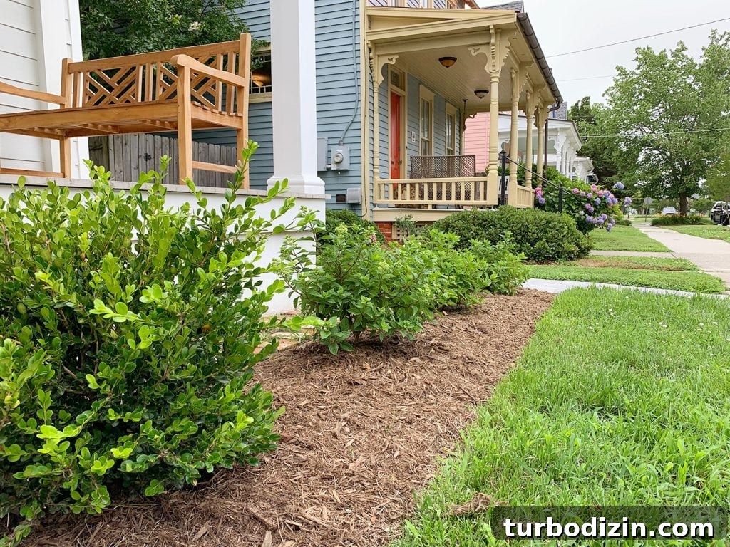 5 Things We Learned Hosting Airbnb This Summer 12 img 92083 12