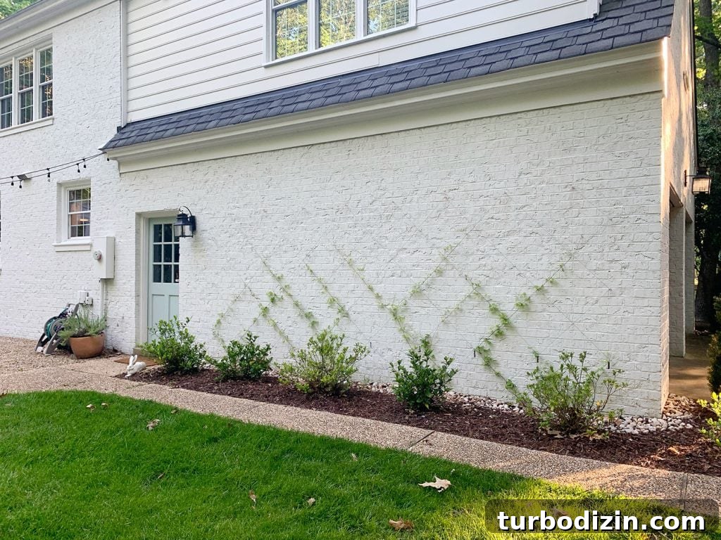 DIY Garden Trellis: Step-by-Step Guide to Build Your Own 2 DIY wire vine trellis on white brick home