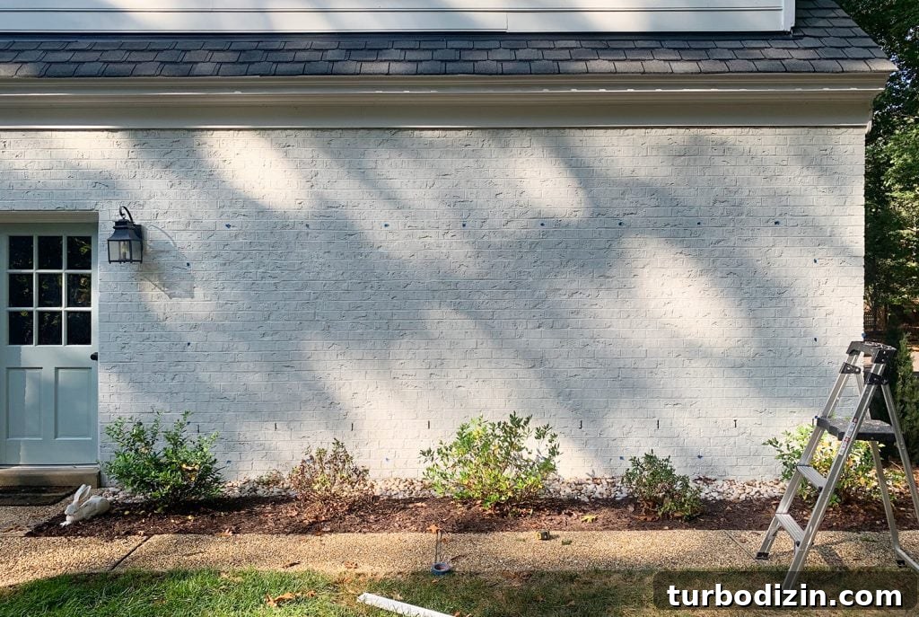 DIY Garden Trellis: Step-by-Step Guide to Build Your Own 12 Brick Wall Marked With Blue Tape For Trellis Hooks