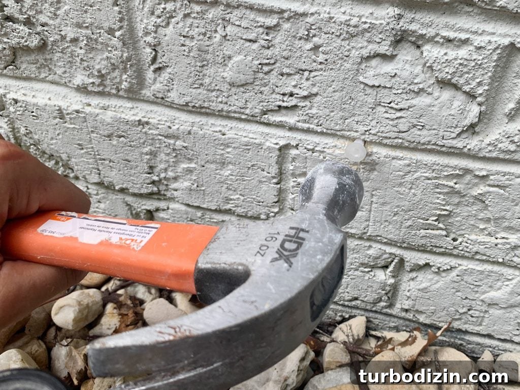 DIY Garden Trellis: Step-by-Step Guide to Build Your Own 15 Hammering Anchor Into Brick Wall For Vine Trellis