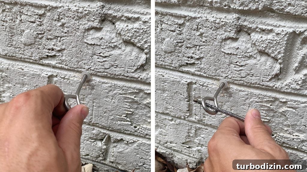 DIY Garden Trellis: Step-by-Step Guide to Build Your Own 16 Screwing Vine Trellis Hooks Into Brick Wall