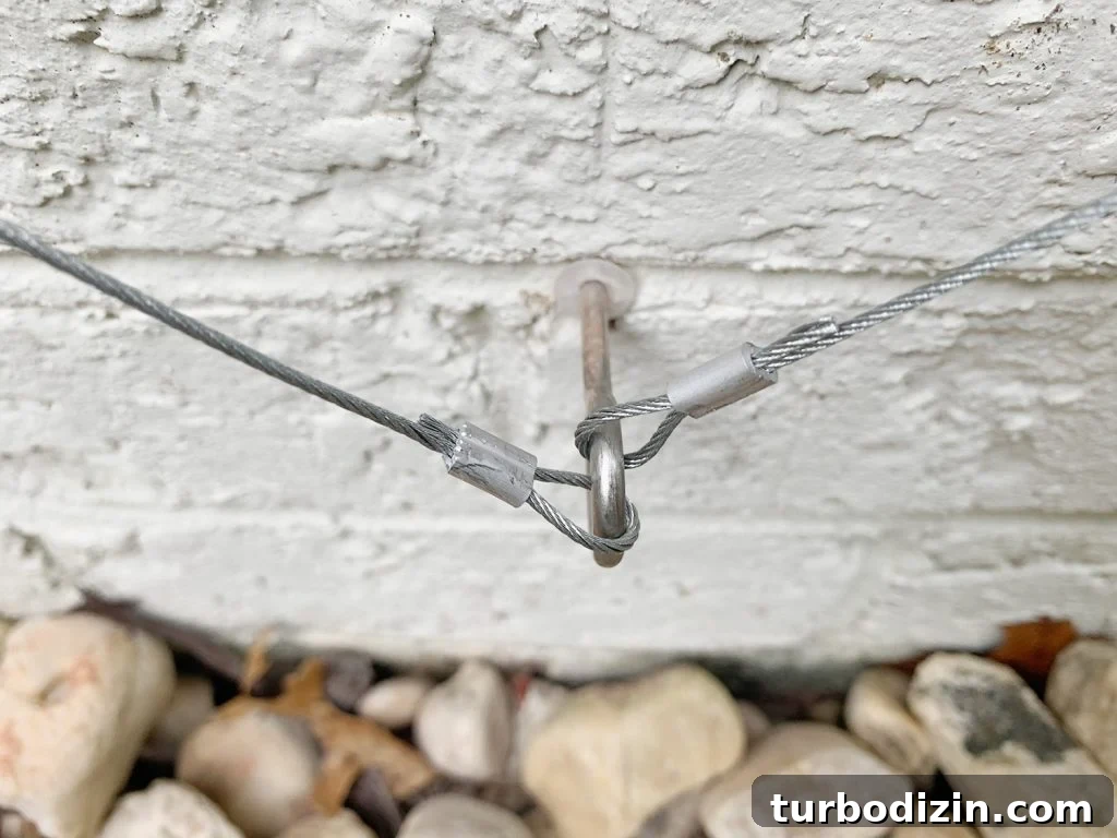 DIY Garden Trellis: Step-by-Step Guide to Build Your Own 20 Two Wire Ends Looped On Eye Screw