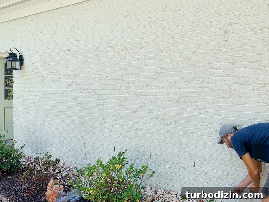 DIY Garden Trellis: Step-by-Step Guide to Build Your Own 22 Looping Wire Across Eye Hooks For Vine Trellis