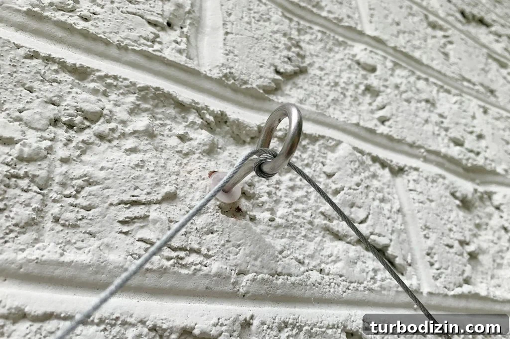DIY Garden Trellis: Step-by-Step Guide to Build Your Own 23 Wire Wrapped Around Eye Screw