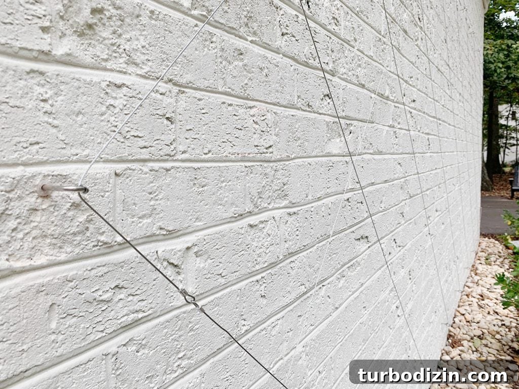DIY Garden Trellis: Step-by-Step Guide to Build Your Own 24 Finished Wire Trellis On White Brick Wall