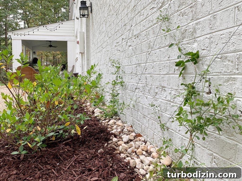 DIY Garden Trellis: Step-by-Step Guide to Build Your Own 25 Clematis Vine On Wire Vine Trellis