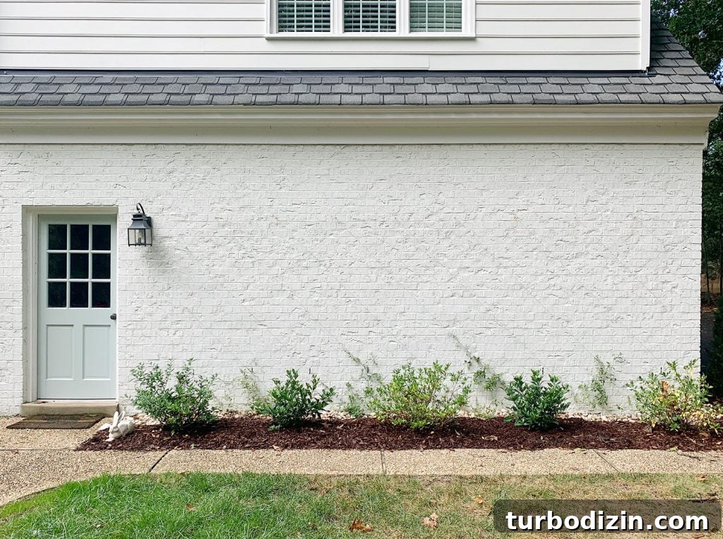 DIY Garden Trellis: Step-by-Step Guide to Build Your Own 4 Far View Of Finished Vine Trellis On Brick Garage Wall