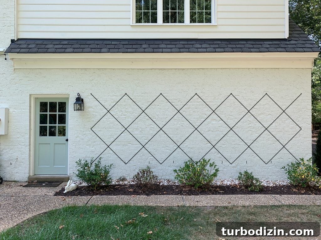 DIY Garden Trellis: Step-by-Step Guide to Build Your Own 8 Photoshop rendering of trellis diamond pattern option 1