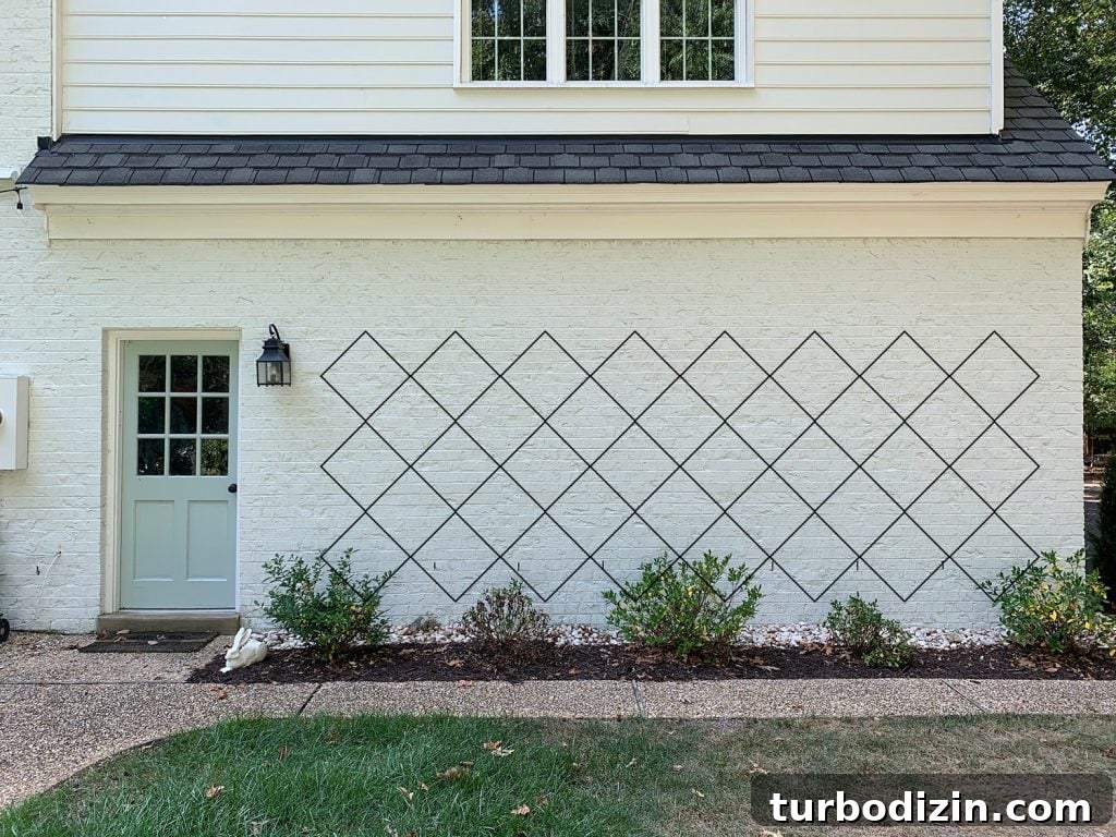 DIY Garden Trellis: Step-by-Step Guide to Build Your Own 9 Photoshop rendering of trellis diamond pattern option 3