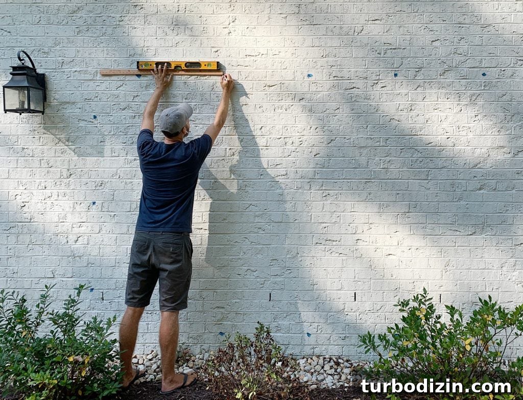 DIY Garden Trellis: Step-by-Step Guide to Build Your Own 10 John Marking Trellis Hooks On Brick Wall