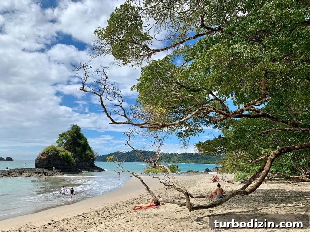 Tropical Beach In Manual Antonio National Park Costa Rica