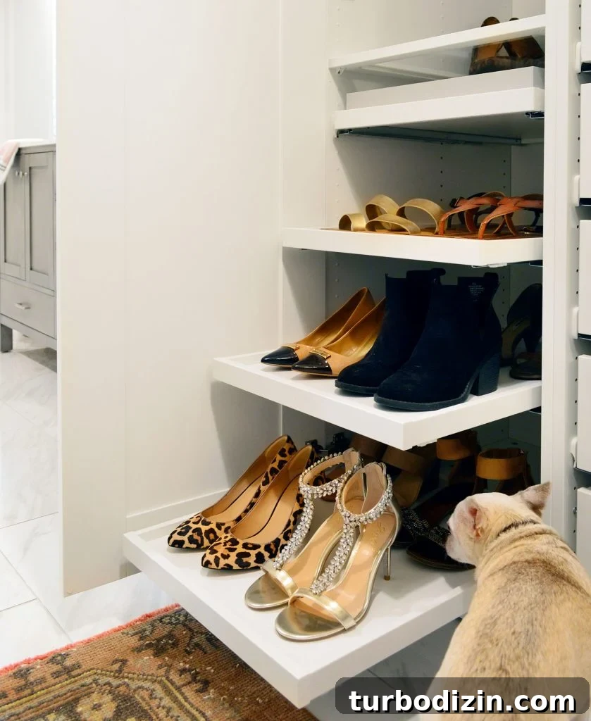 Pull Out Shoe Trays In Ikea Pax Wardrobe With Burger