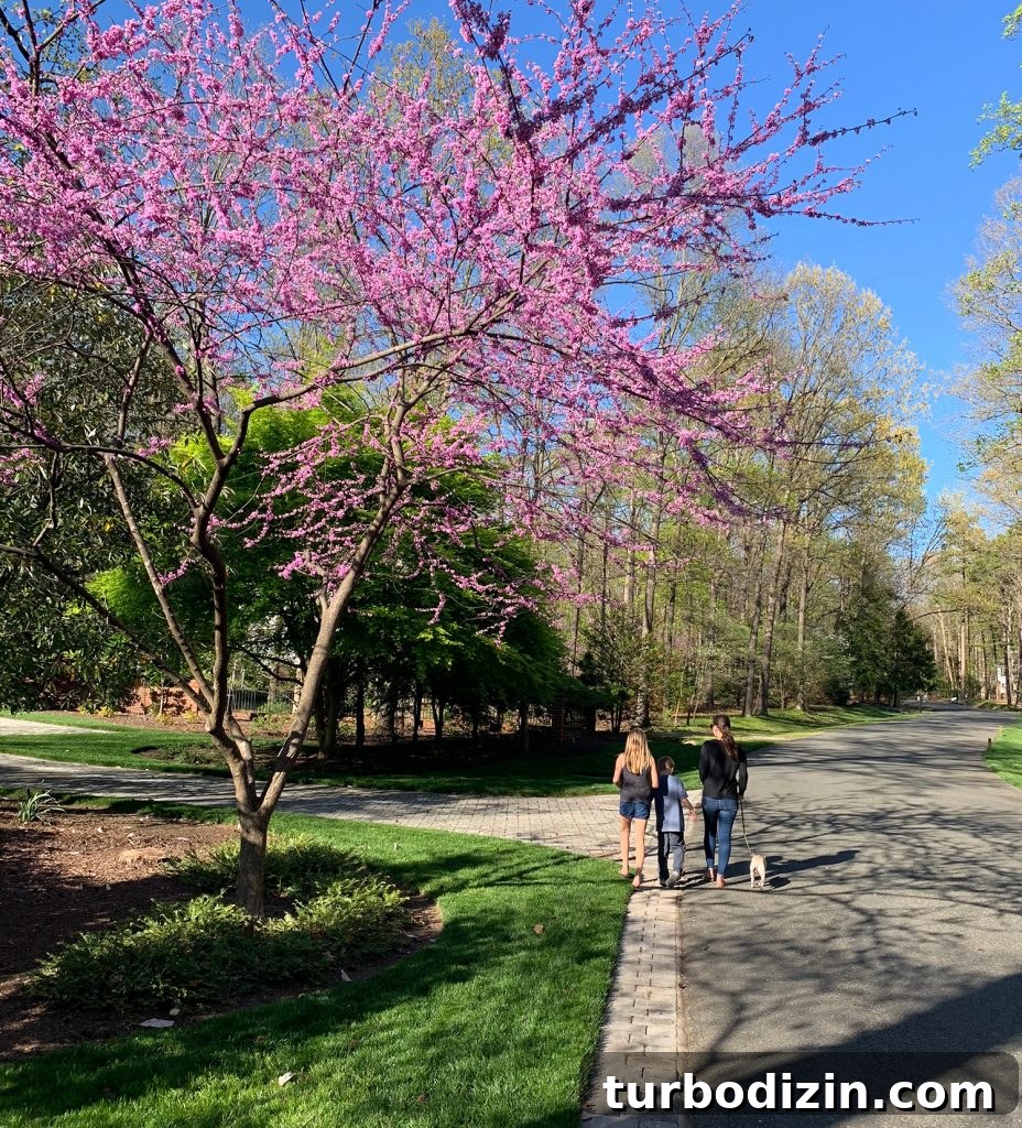 How to Declutter and Downsize Your Home: A Step-by-Step Guide 10 Family enjoying the yard in spring