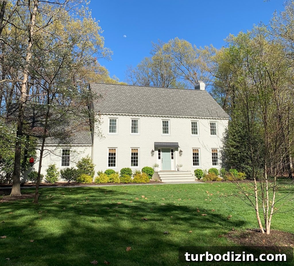 How to Declutter and Downsize Your Home: A Step-by-Step Guide 3 Exterior shutters delivery