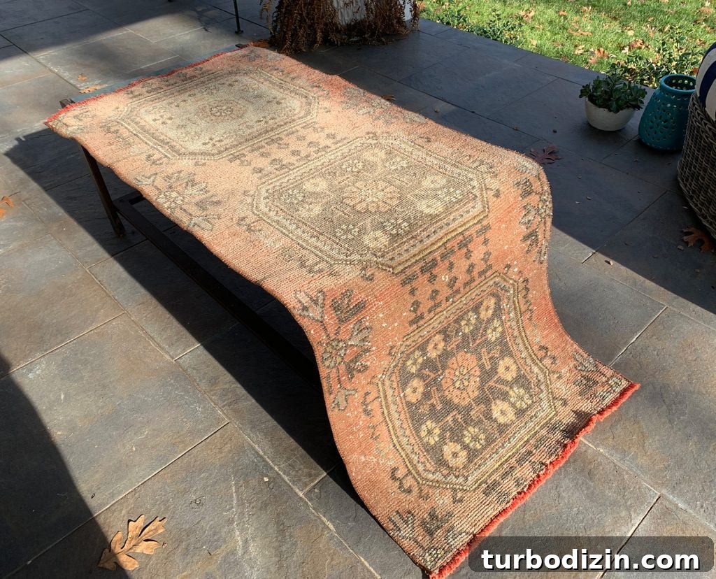 How to Pressure Wash a Rug Safely and Effectively 4 img 94072 3
