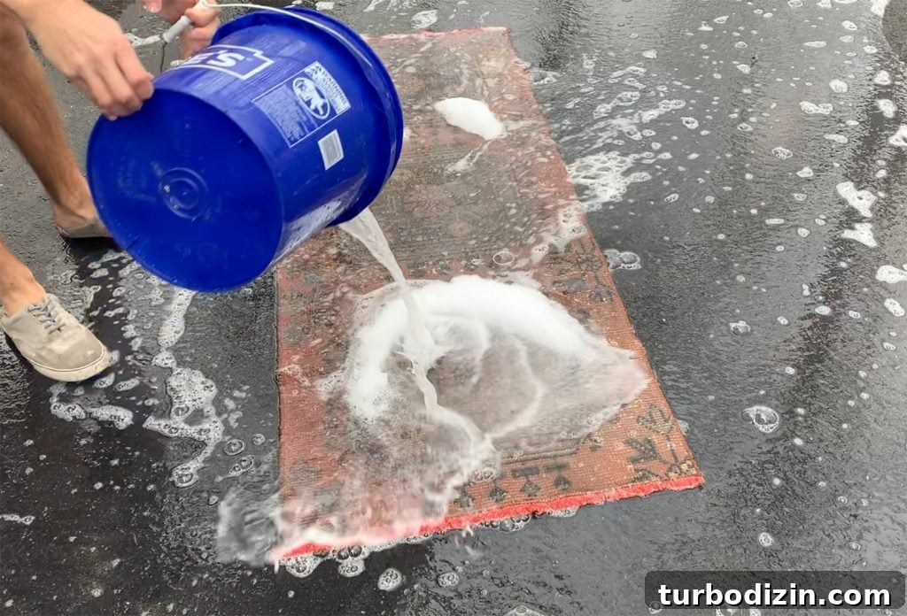 How to Pressure Wash a Rug Safely and Effectively 6 img 94072 5