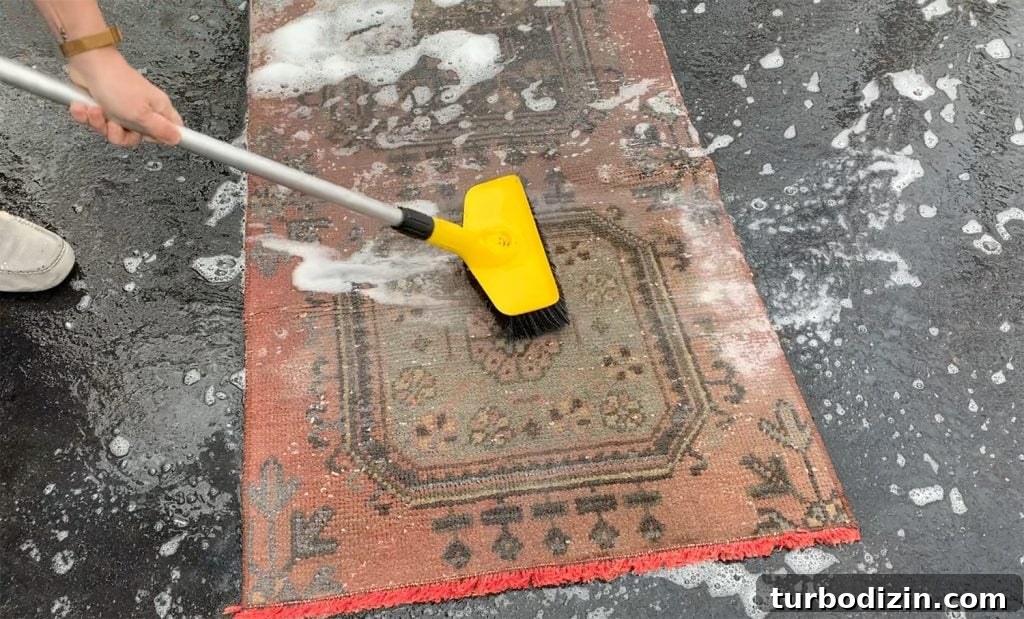 How to Pressure Wash a Rug Safely and Effectively 7 img 94072 6