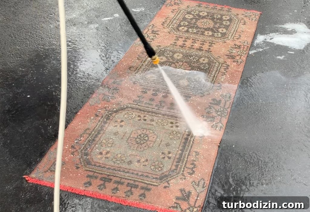 How to Pressure Wash a Rug Safely and Effectively 8 img 94072 7
