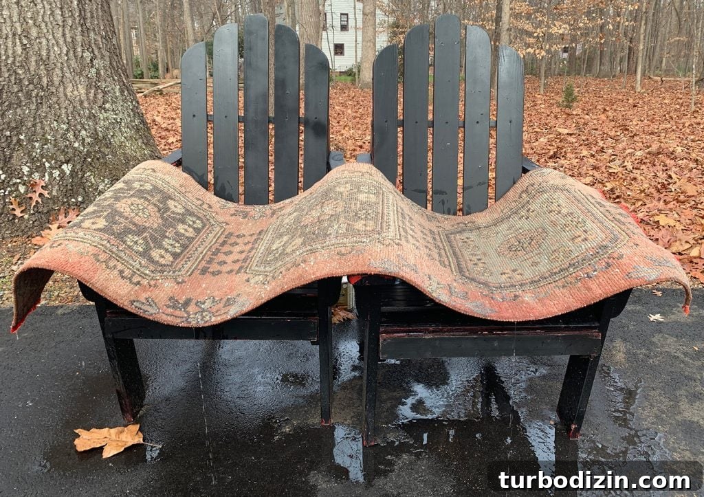 How to Pressure Wash a Rug Safely and Effectively 9 img 94072 8