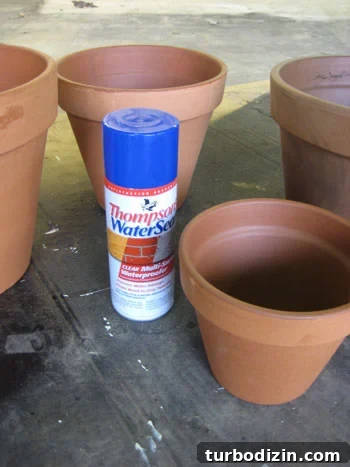 img_2812 painting terra cotta pots supplies