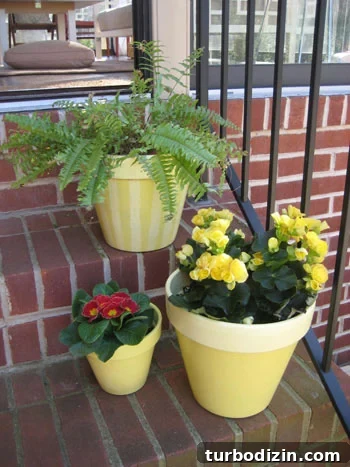img_3147 how to paint terra cotta pots