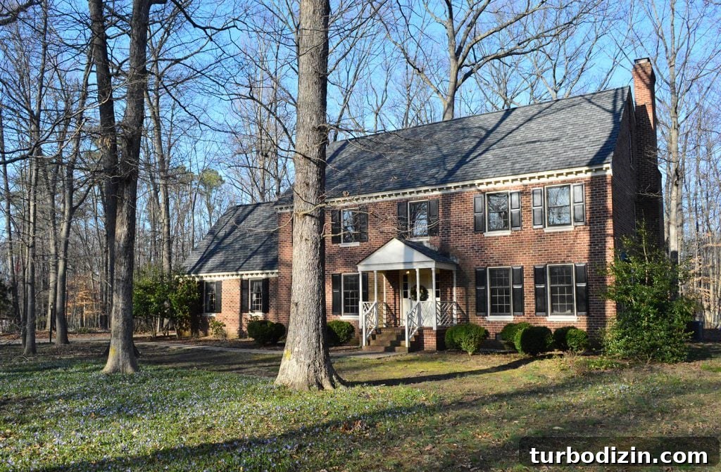 Painted Brick House Exterior Makeover: Before & After Transformation 3 img 94404 2