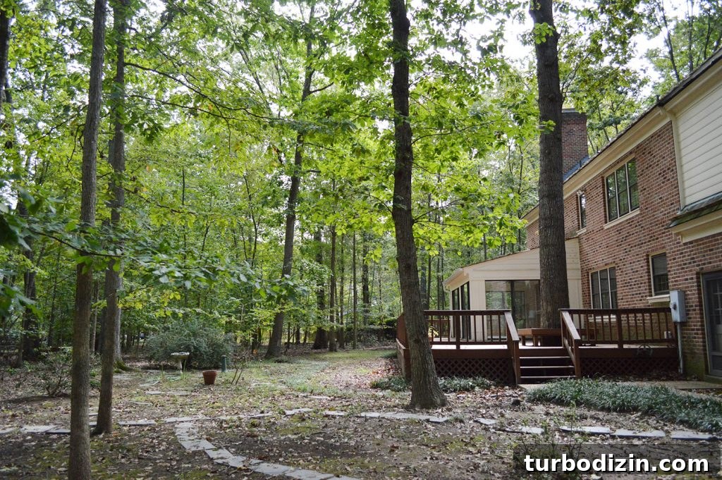 Painted Brick House Exterior Makeover: Before & After Transformation 6 img 94404 5