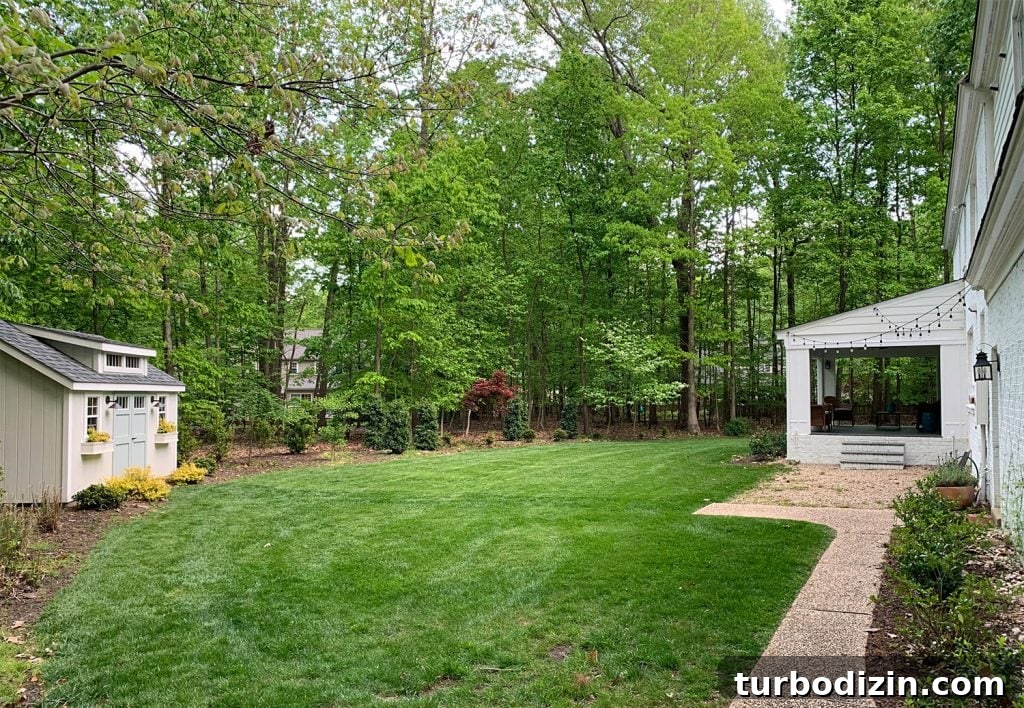 Painted Brick House Exterior Makeover: Before & After Transformation 7 img 94404 6