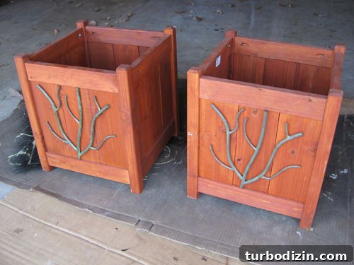 planters-before planters-before