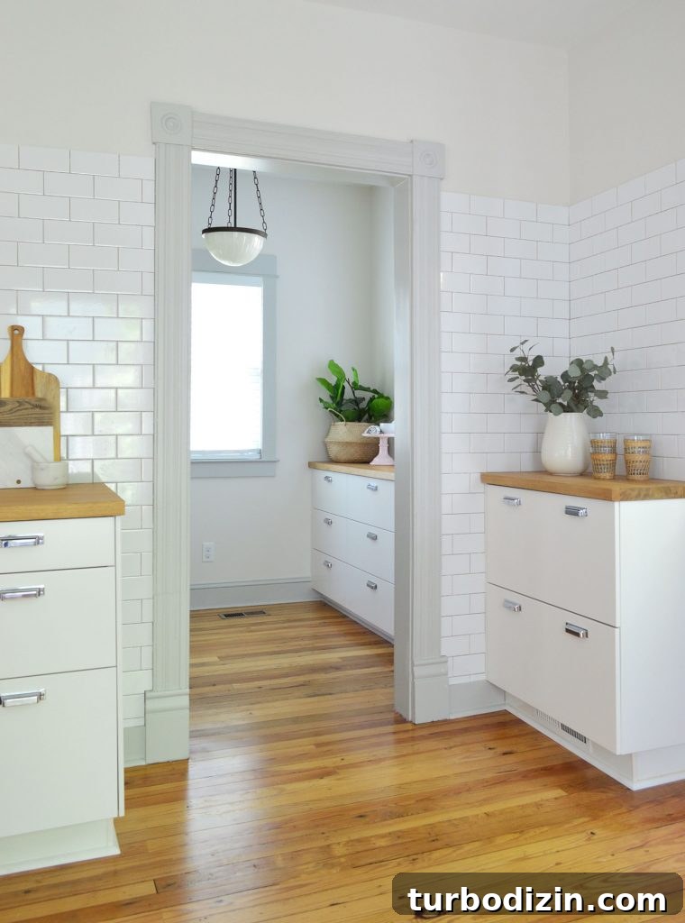 Fiddle-leaf fig and decor