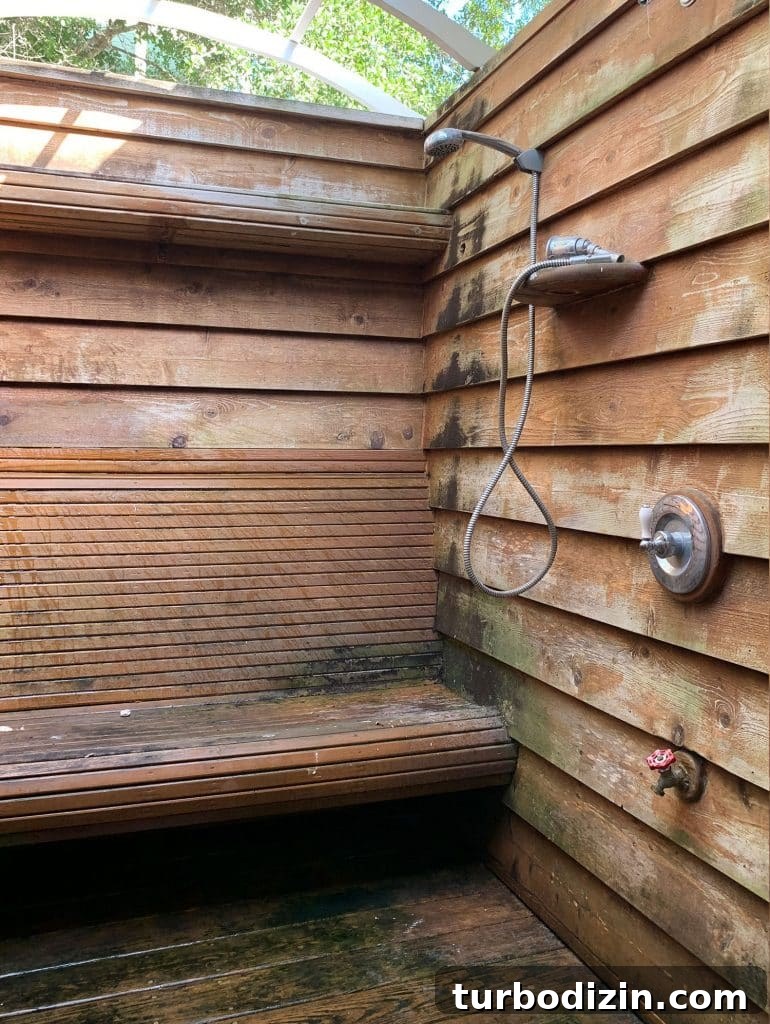 Outdoor Shower Makeover: Stylish Updates for Your Backyard Spa 2 img 95197 1
