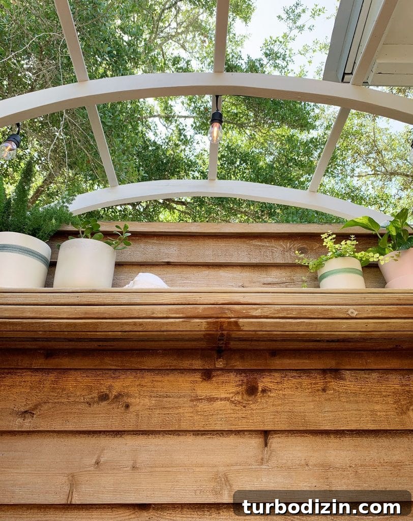 Outdoor Shower Makeover: Stylish Updates for Your Backyard Spa 11 img 95197 10