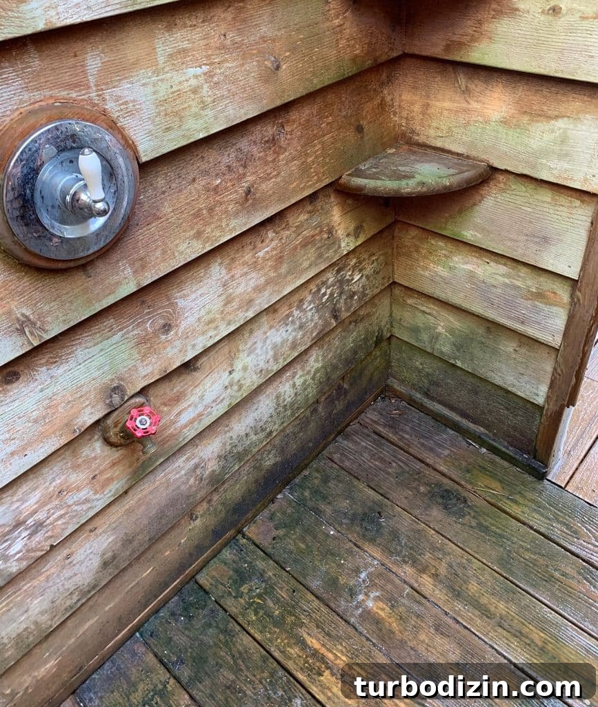 Outdoor Shower Makeover: Stylish Updates for Your Backyard Spa 3 img 95197 2