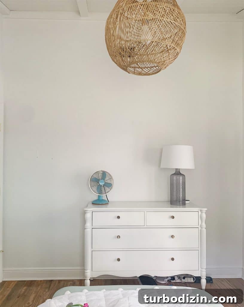 How to Paint a DIY Wall Mural: Step-by-Step Guide for Home Walls 6 Large blank wall before mural was painted