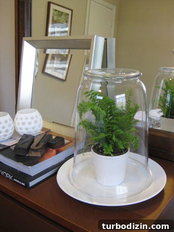 simple-terrarioum-tutorial-how-to-diy-project simple-terrarioum-tutorial-how-to-diy-project