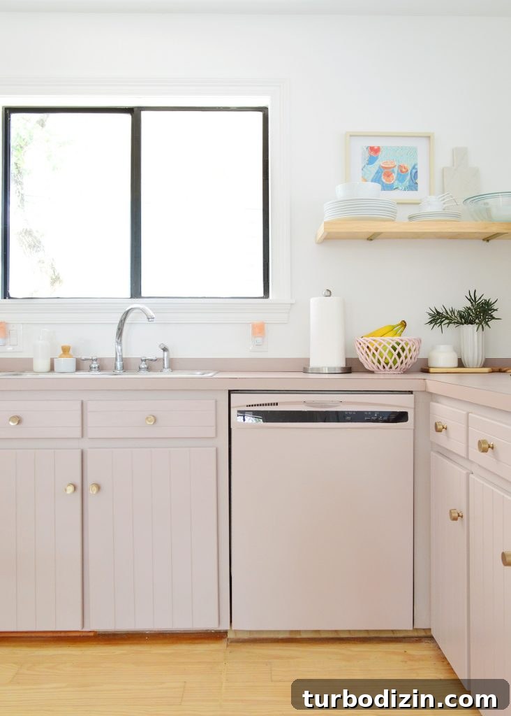 How We Painted Our Kitchen Cabinets Pink: A Room-by-Room Reveal 19 Dishwasher painted mauve to match kitchen cabinets | Sherwin Williams Artsy Pink