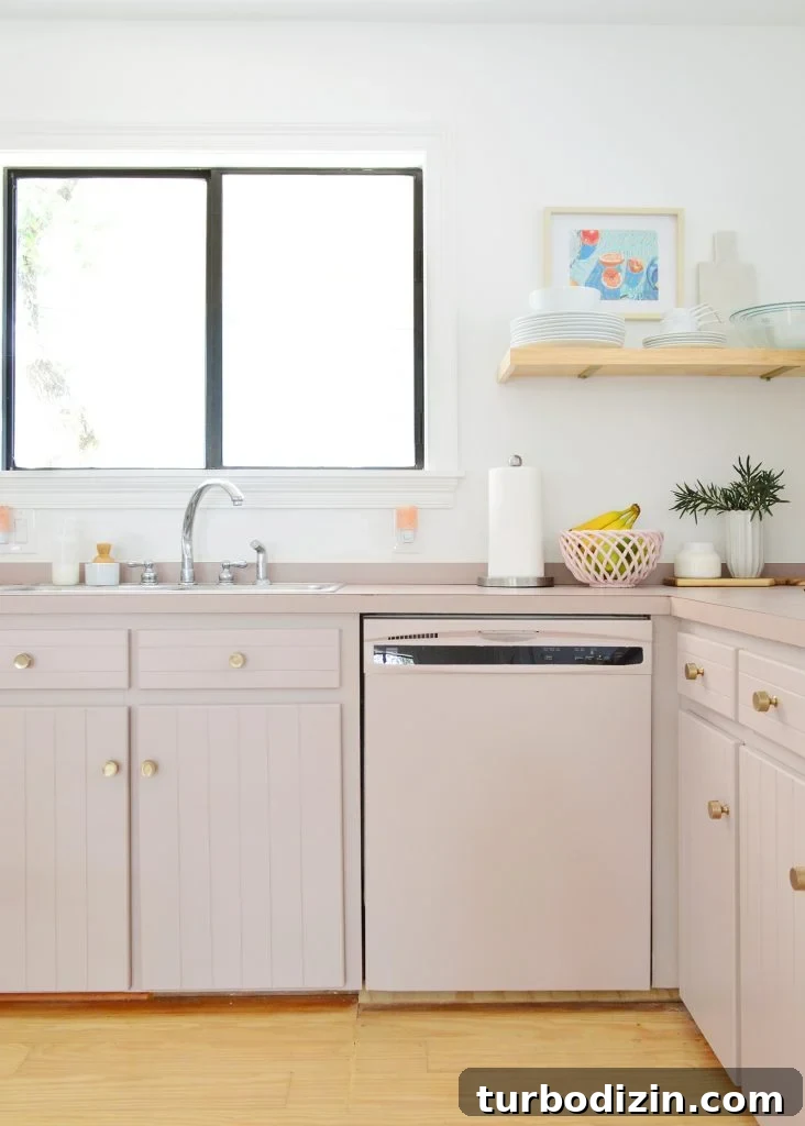 Maximize Space: Smart Organization Ideas for Small Kitchen Cabinets 15 img 95654 14